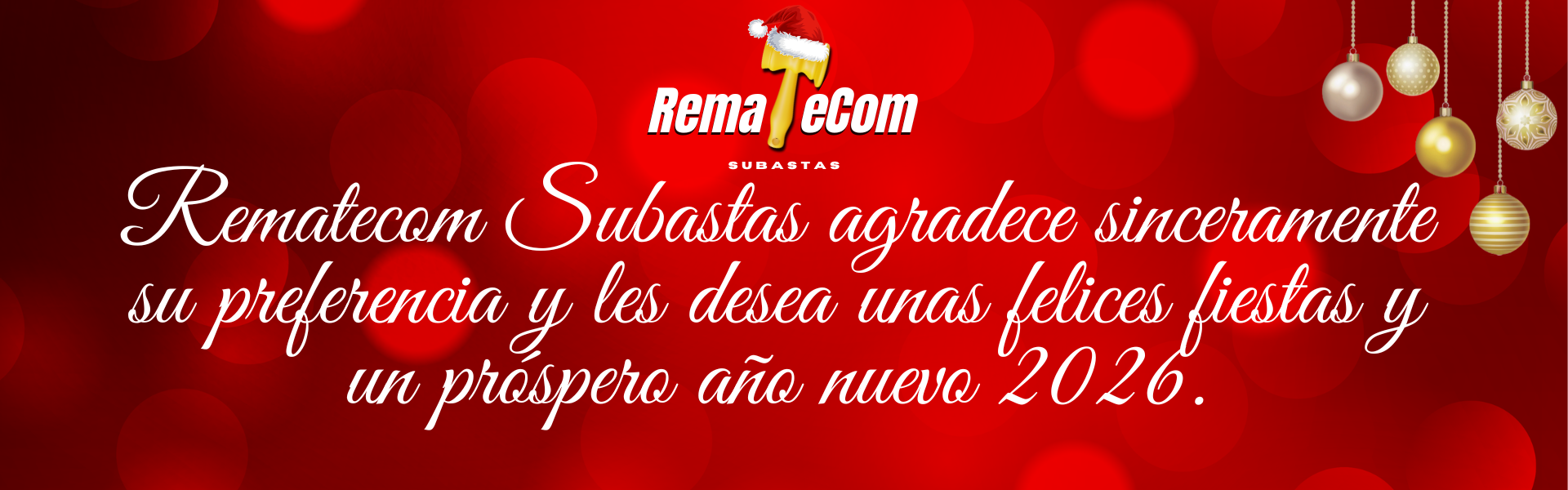 Descripción de la imagen 2