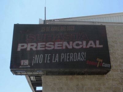 6 PZAS PANTALLAS PARA ESPECTACULAR