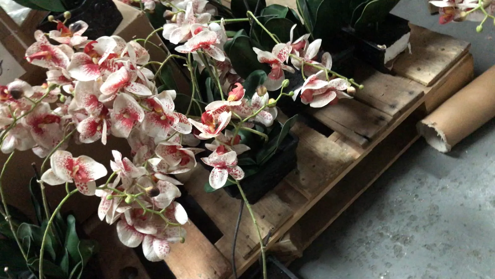 APROX.  15 PZAS. DE FLORES ARTIFICIALES ORQUIDEAS - ARBOL NAVIDEÑO DE FIBRA OPTICA