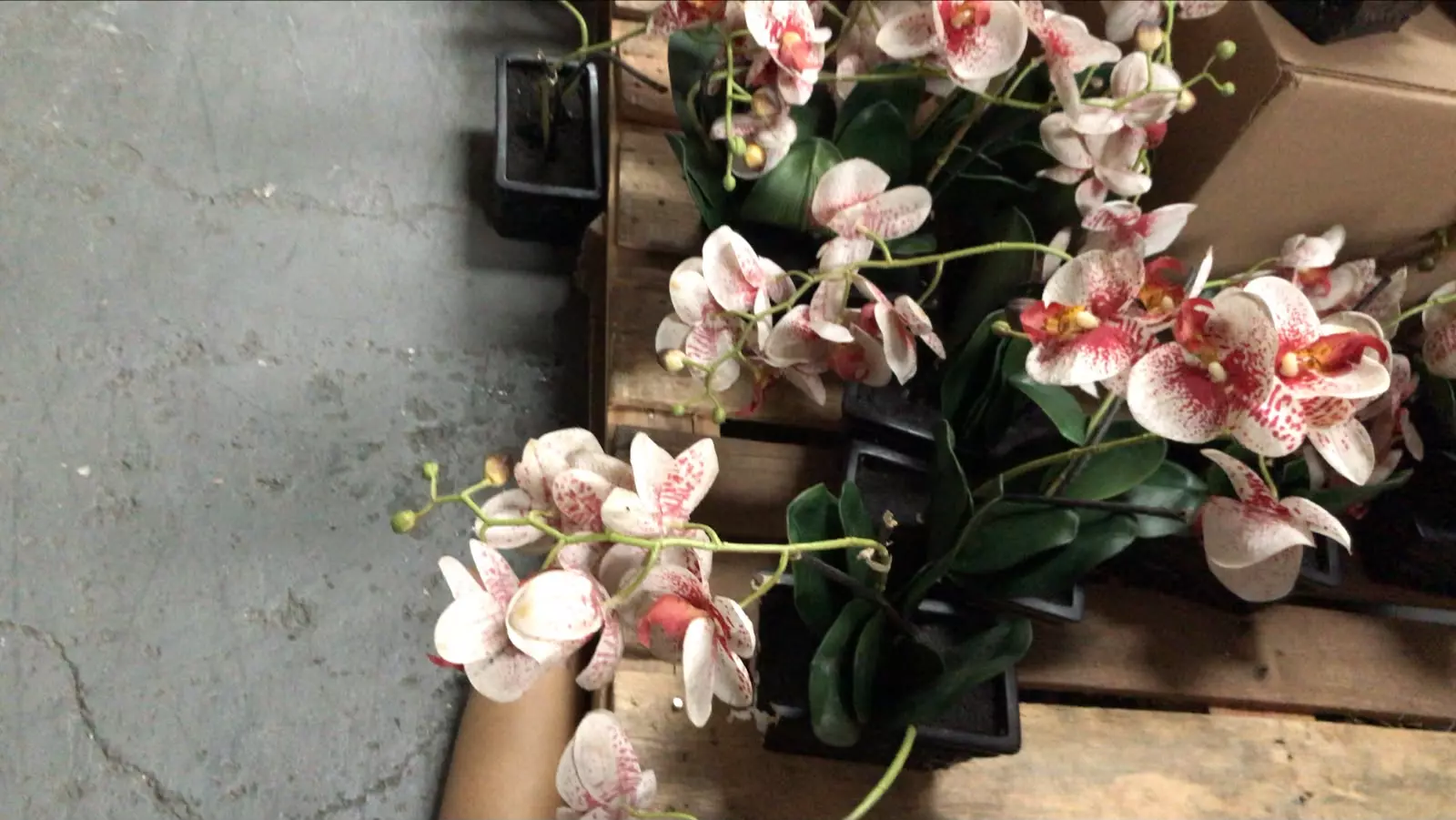 APROX.  15 PZAS. DE FLORES ARTIFICIALES ORQUIDEAS - ARBOL NAVIDEÑO DE FIBRA OPTICA