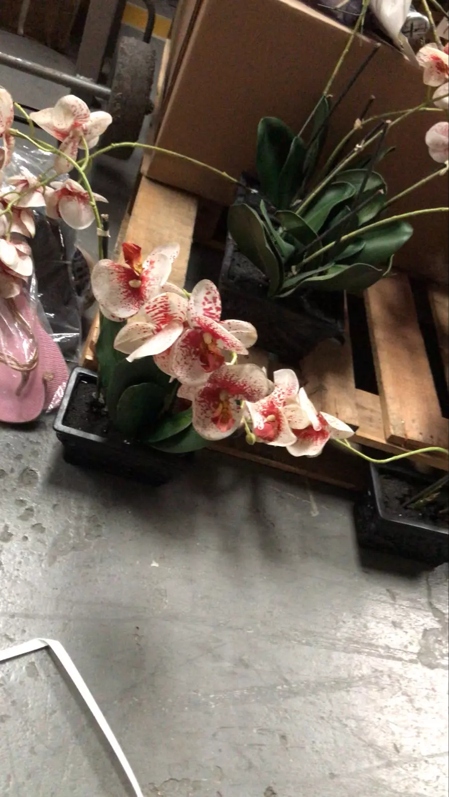 APROX.  15 PZAS. DE FLORES ARTIFICIALES ORQUIDEAS - ARBOL NAVIDEÑO DE FIBRA OPTICA